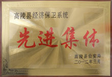 2012年經(jīng)濟保衛系統先進(jìn)集體